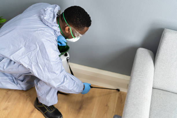 Professional Pest control in Newport East, RI